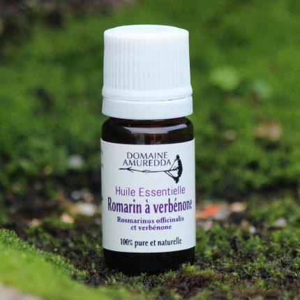 Romarin à verbénone  Bio - Huile essentielle