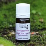 Laurier noble bio - Huile essentielle
