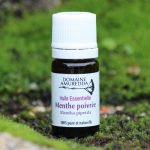 Menthe poivrée bio - Huile essentielle
