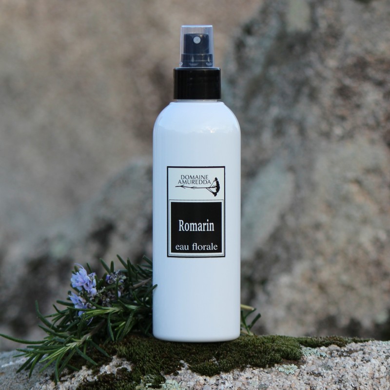 romarin-a-verbenone-bio-eau-florale Romarin à verbénone Bio - Eau florale – Image 1